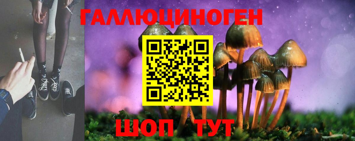 Галлюциногенные грибы прущие грибы Малоярославец